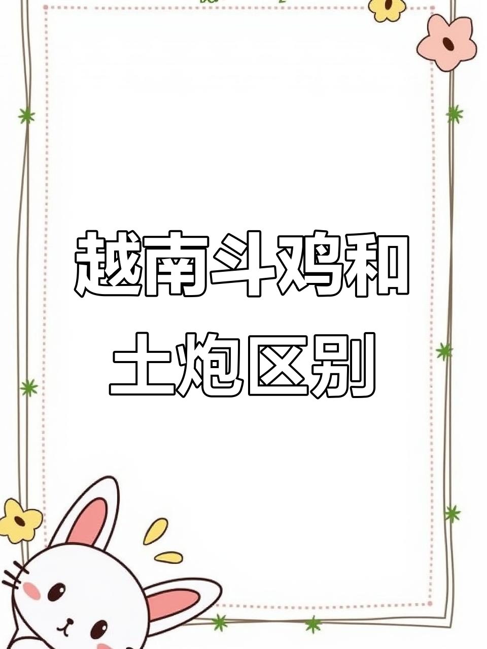 越南斗鸡与土炮的区别,你了解吗?