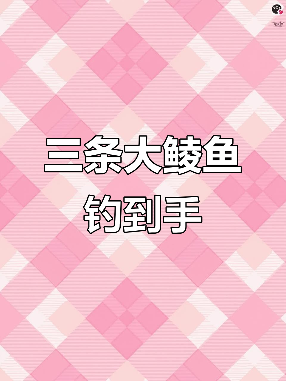 今晚钓鱼收获不小,本地鲮鱼三条大获全胜