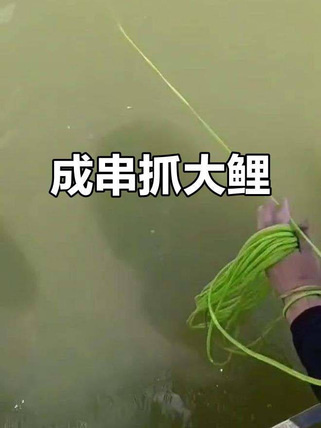 翘嘴爆网,成串抓鱼现场!30斤草鲤惊现