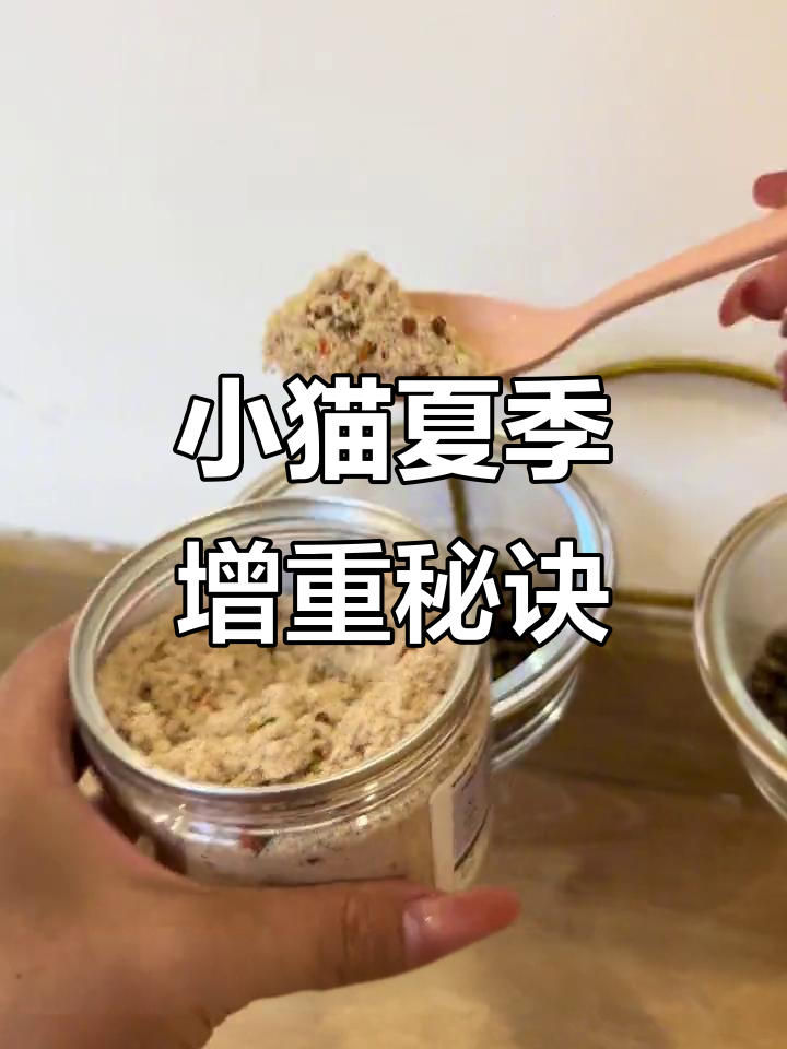 夏天不爱吃饭?试试这款鸭肉松,猫咪也能健康增重
