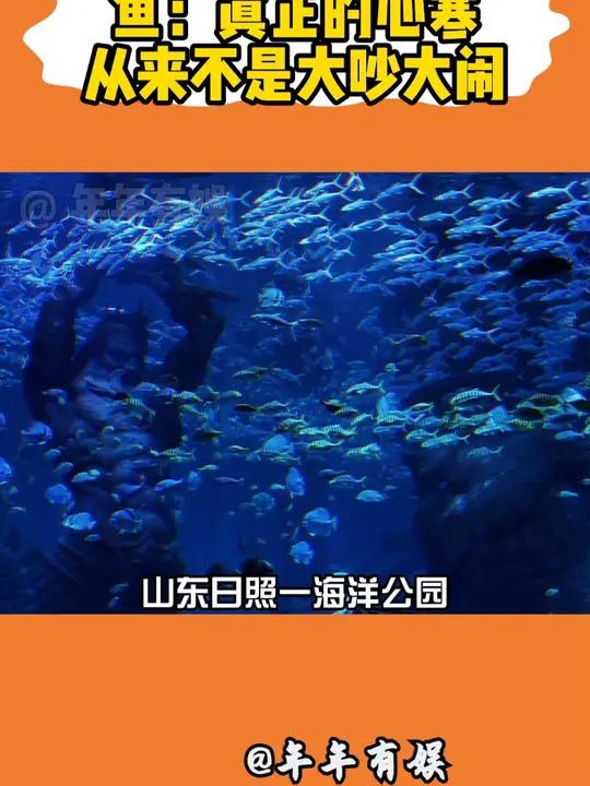 鱼:毁灭吧,累了