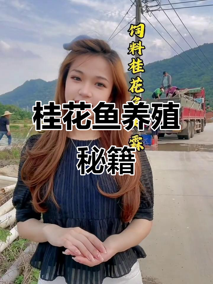 大霖分享桂花鱼养殖技巧,评论区提问!