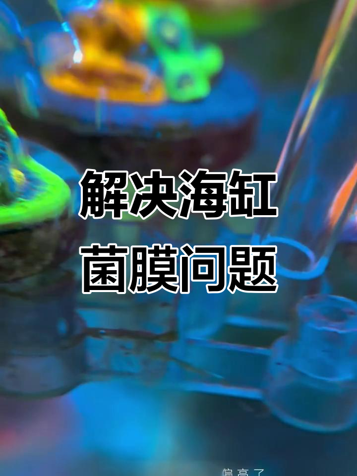 鱼缸菌膜爆发？这些方法帮你快速解决
