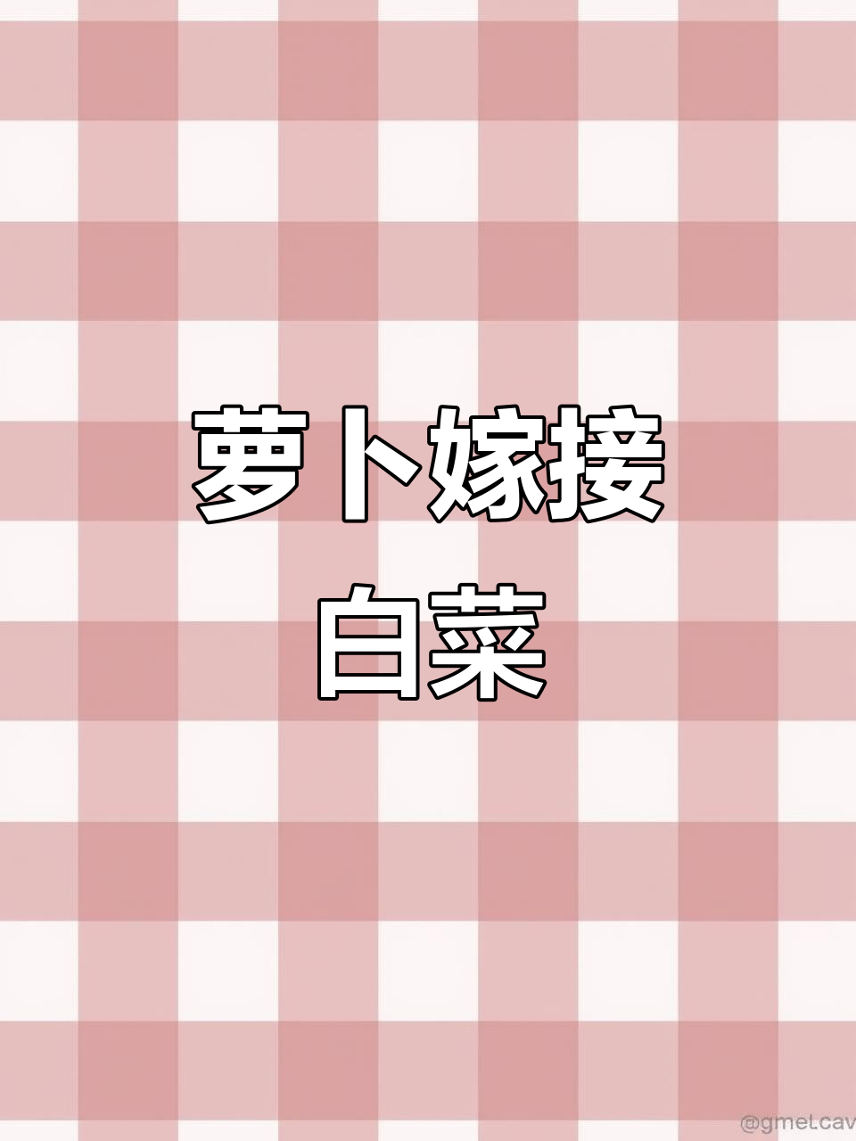 萝卜白菜嫁接技巧,轻松种出美味蔬菜