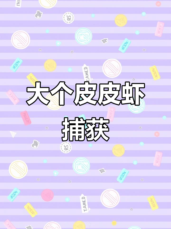 菲律宾渔民巧妙捕虾,每只皮皮虾足有20厘米长!
