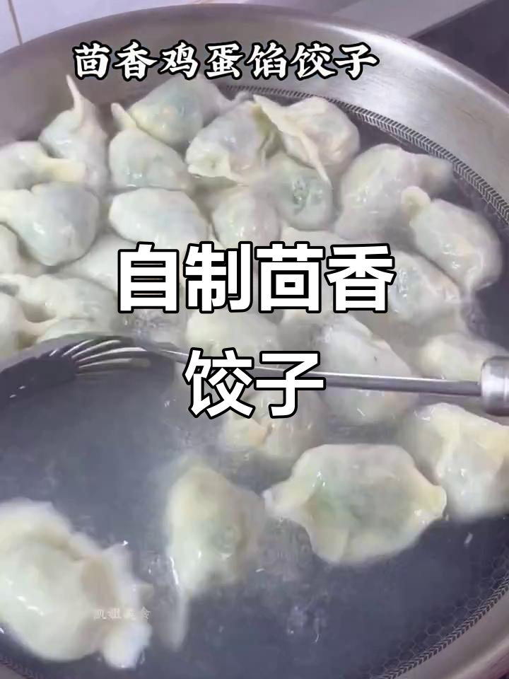 茴香饺子馅儿的做法,简单又美味