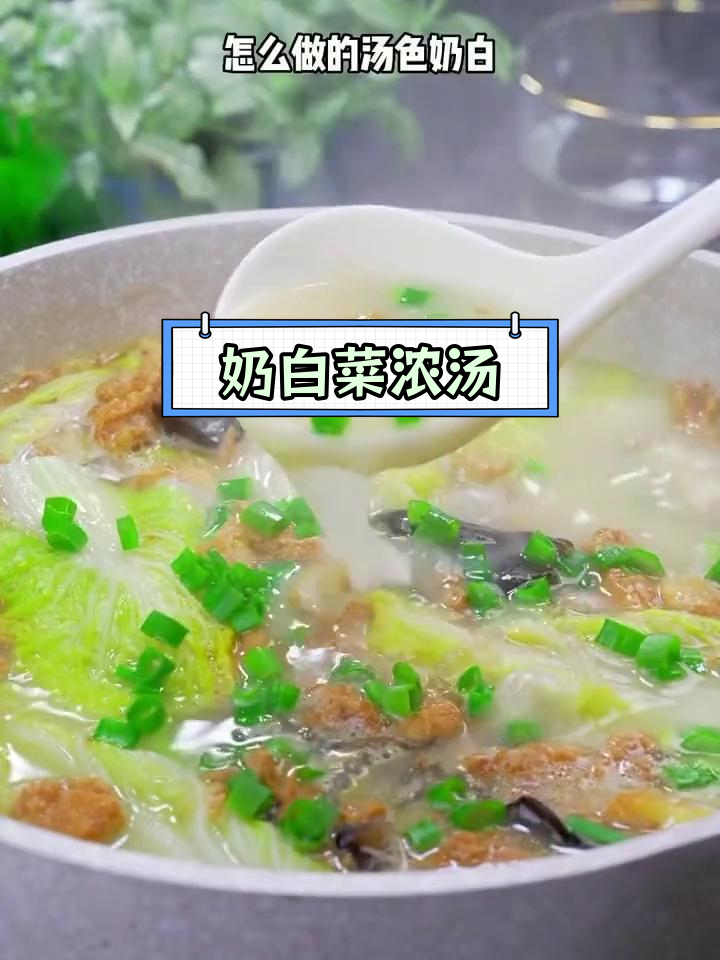 冬季必备奶白菜汤,浓香丝滑口感