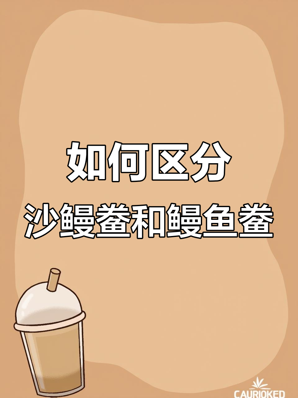 沙鳗鲞与鳗鱼鲞的区别,做法和口感全解析