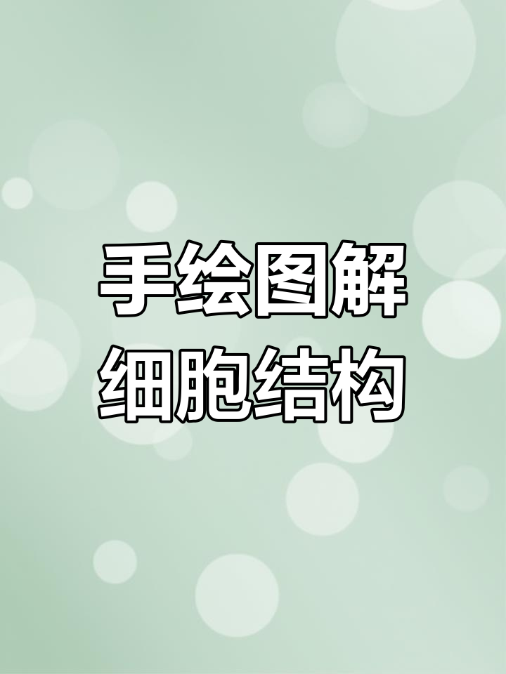 细胞结构与功能全解析,手绘图解让你一目了然