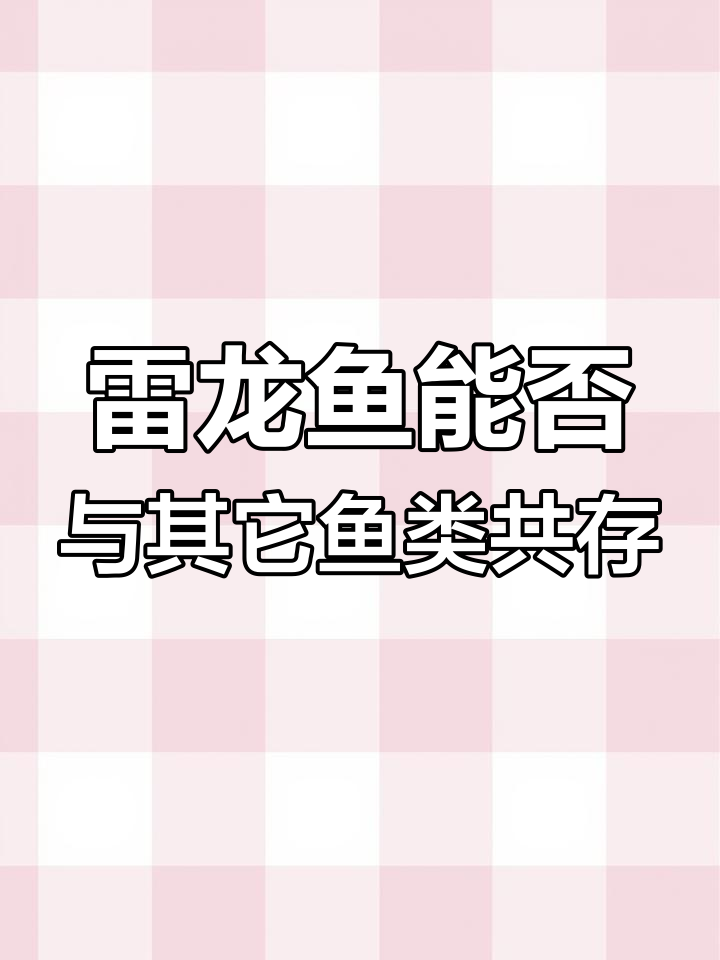 雷龙鱼能和其他观赏鱼混养吗?真相揭秘