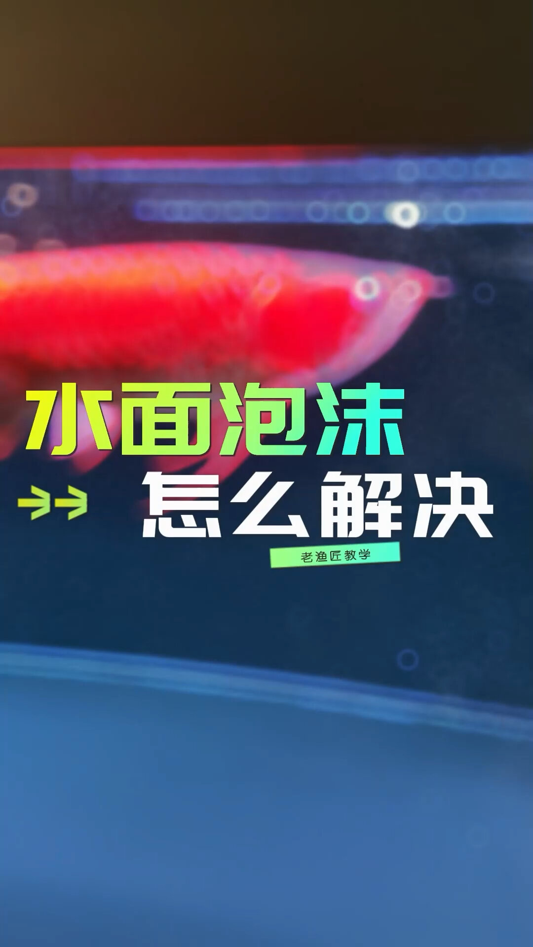 鱼缸水面有泡沫气泡怎么办?做以下几点