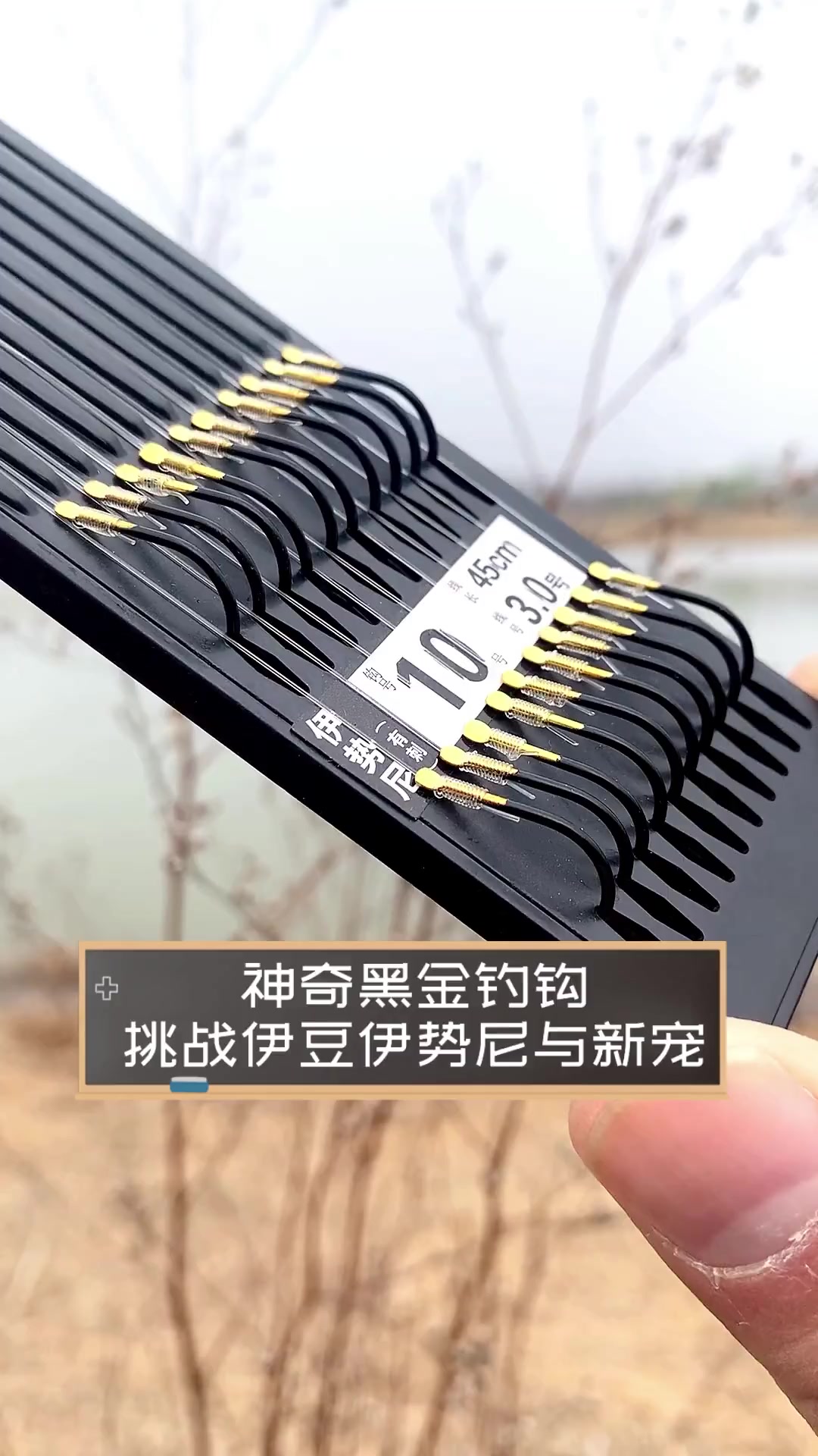 神奇黑金钓钩,挑战伊豆伊势尼与新宠