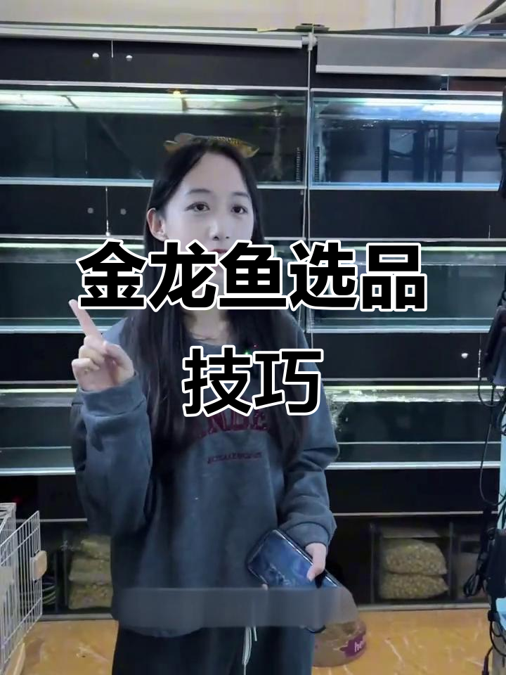 如何挑选金龙鱼发色潜力高的品种?关键看这几点