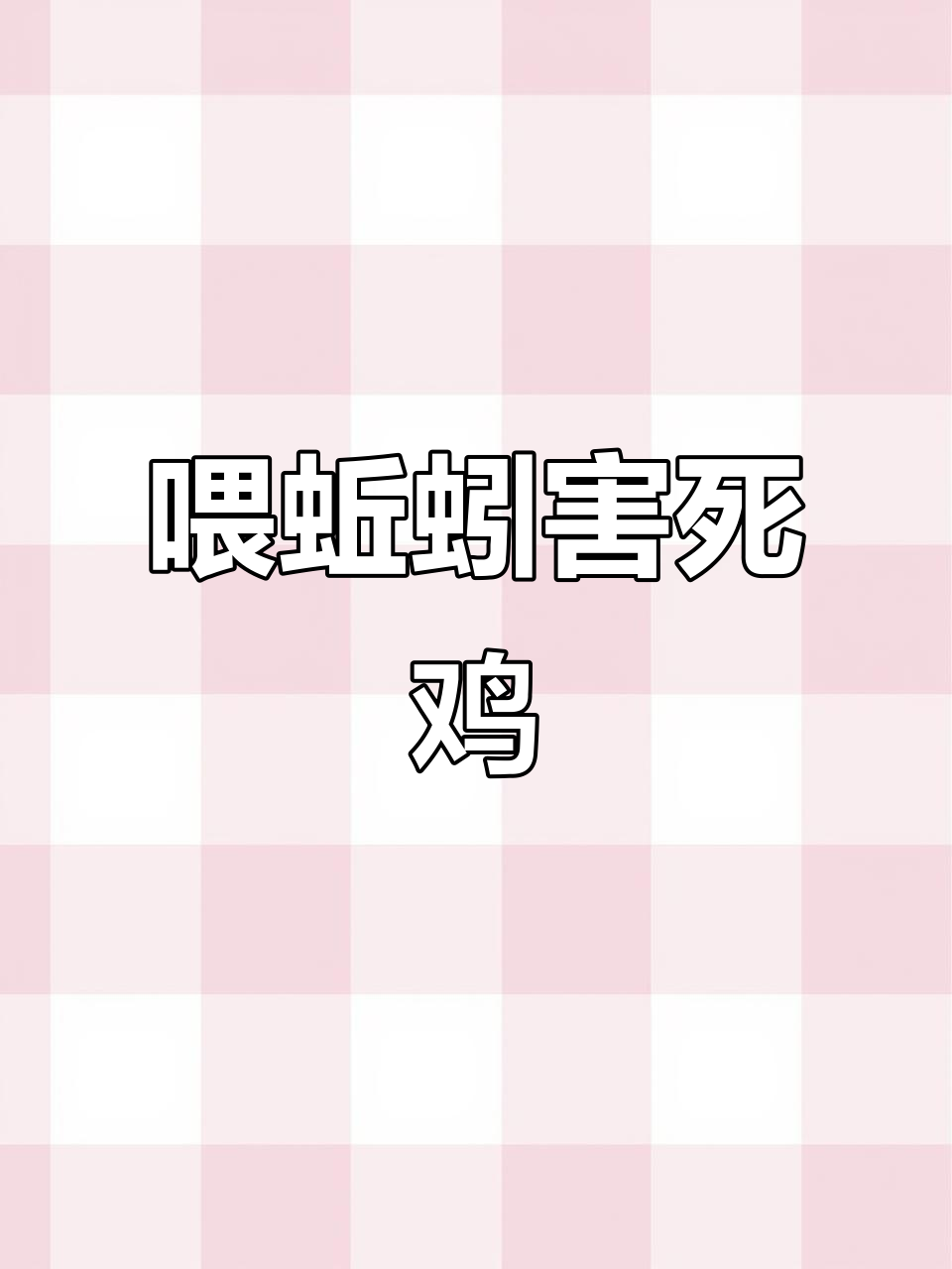 鸡吃蚯蚓引发盲肠肝炎,究竟是利还是弊?