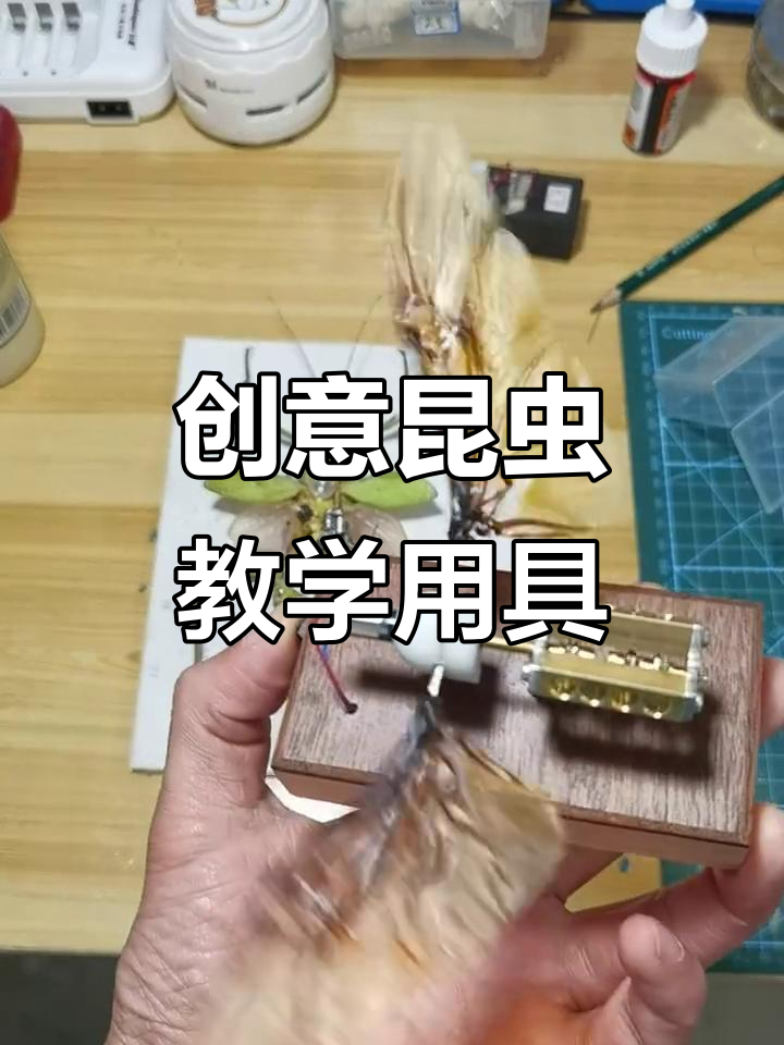 制作蒸汽朋克昆虫教学工具，打造独特学习体验