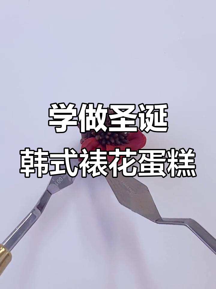 韩式裱花蛋糕立体花朵制作技巧，零基础也能学会