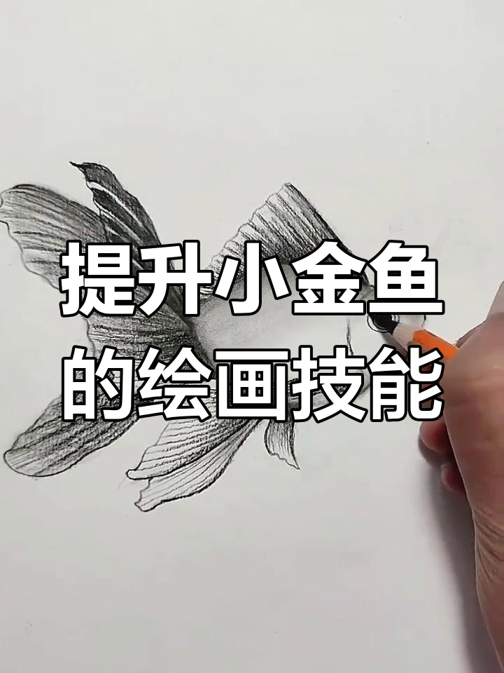 小金鱼画法大揭秘,轻松掌握这些技巧
