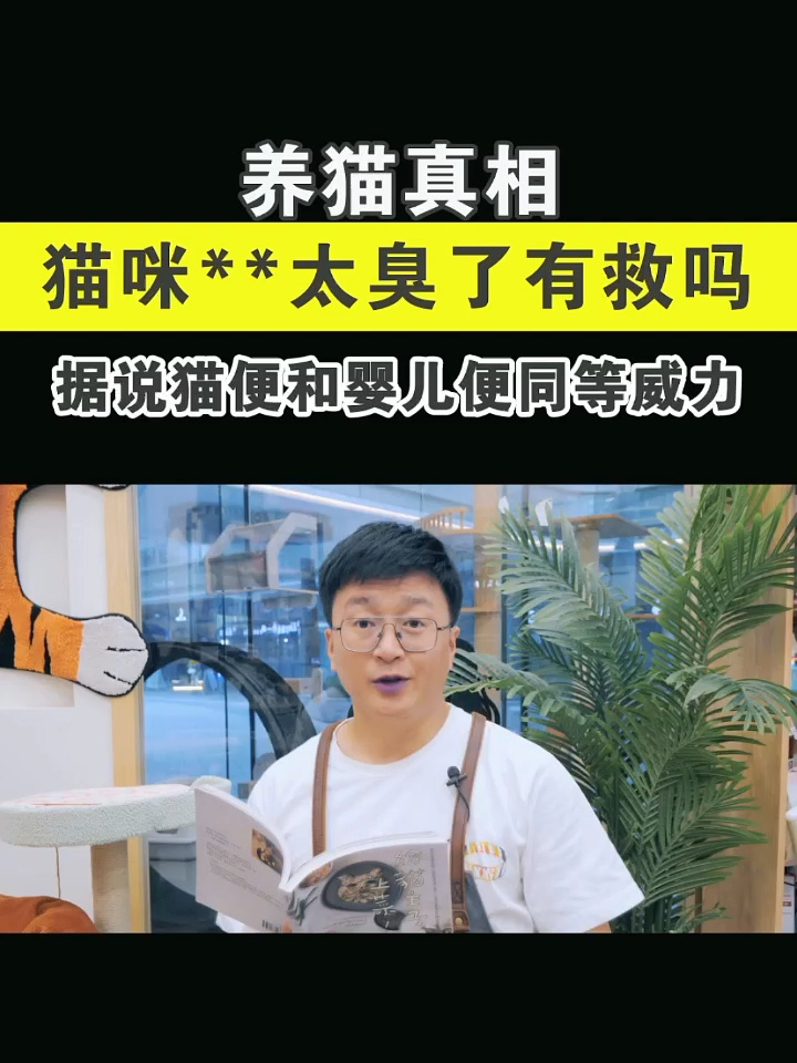 柿子菌:猫咪拉屎太臭了,4个方法解救铲屎官