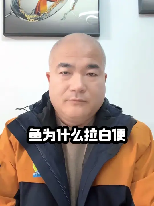 四大家鱼拉白便，究竟是什么原因造成的？