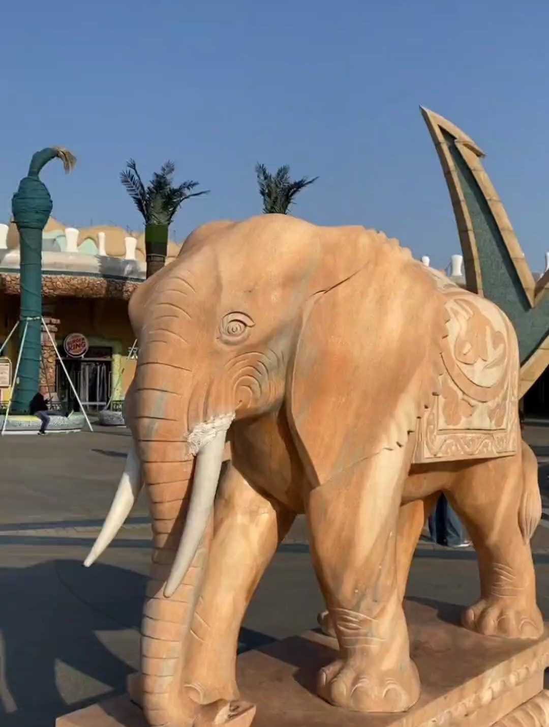 上海海昌海洋公园 游玩攻略