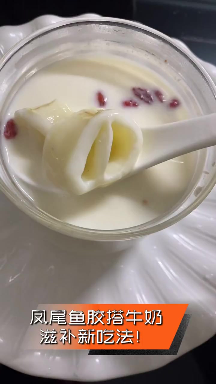 凤尾鱼胶搭牛奶,滋补新吃法!