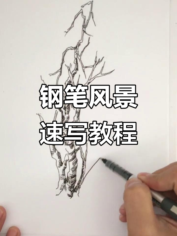 风景速写技巧:如何用钢笔画出栩栩如生的自然景色