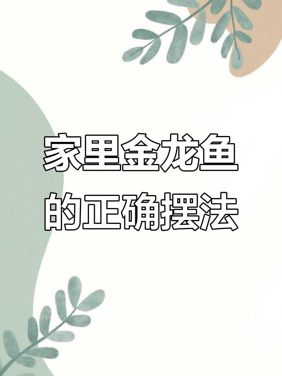 金龙鱼摆放有讲究，朝大门放好运来