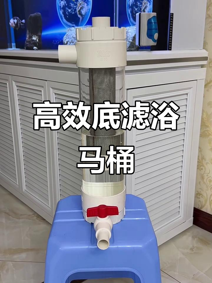 底滤鱼马桶,轻松解决粪便问题,清洗方便又高效