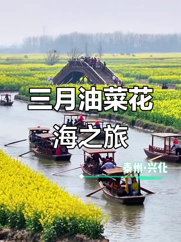3月去江苏兴化,千岛油菜花海是春游最佳去处