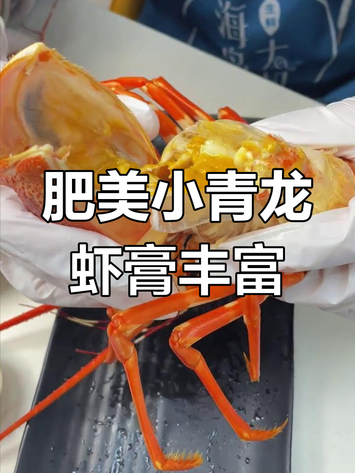 小青龙虾膏满满,深海美味不容错过