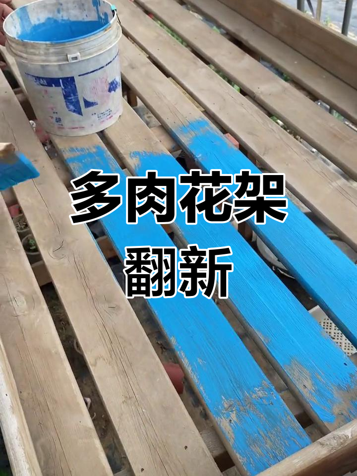 刷漆打造多肉花架