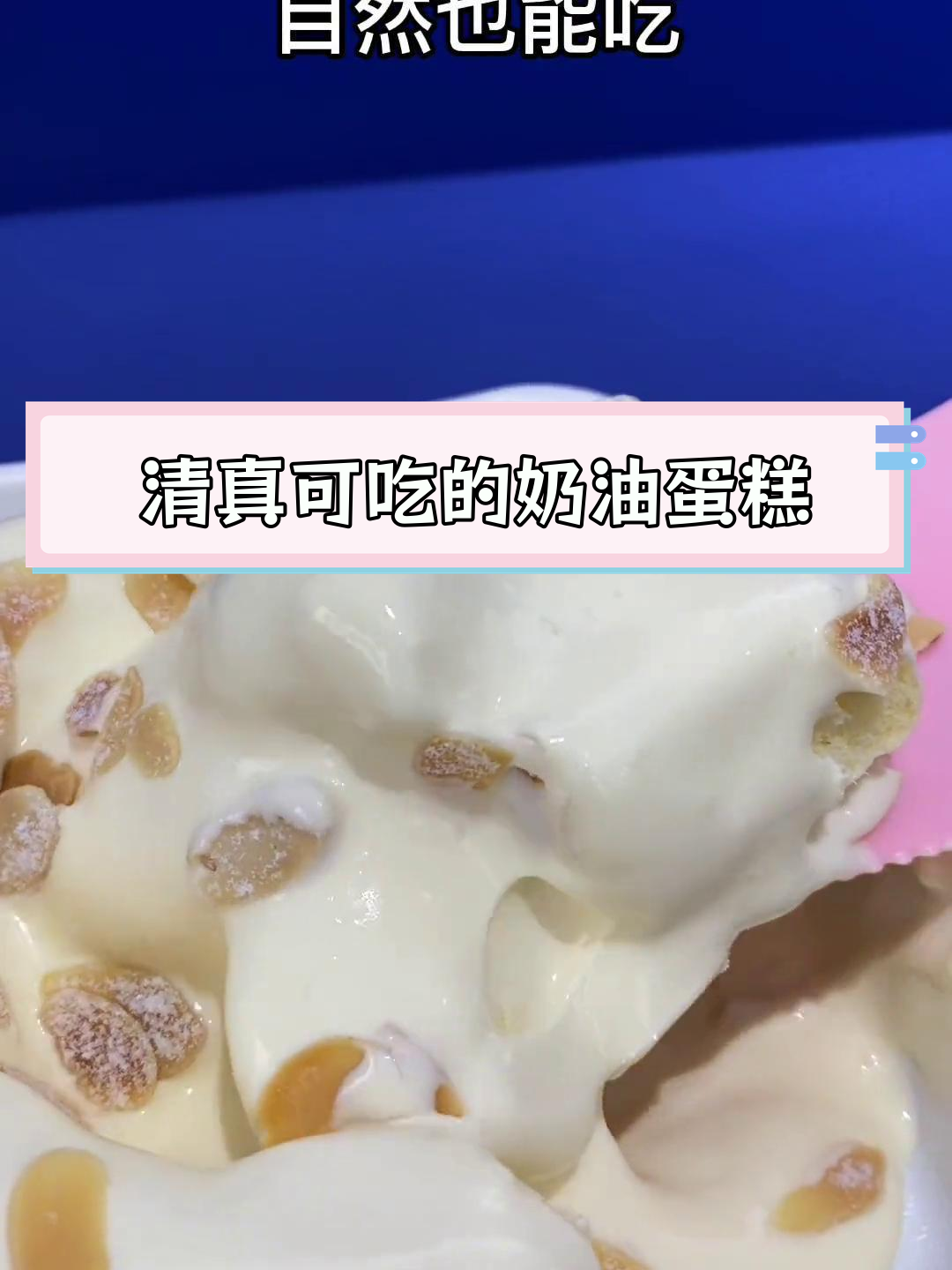 动物奶油蛋糕,清真朋友也能享用