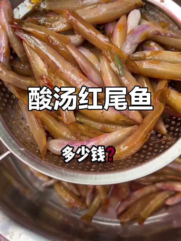 红尾巴鱼酸汤,清泉水煮,香气扑鼻!