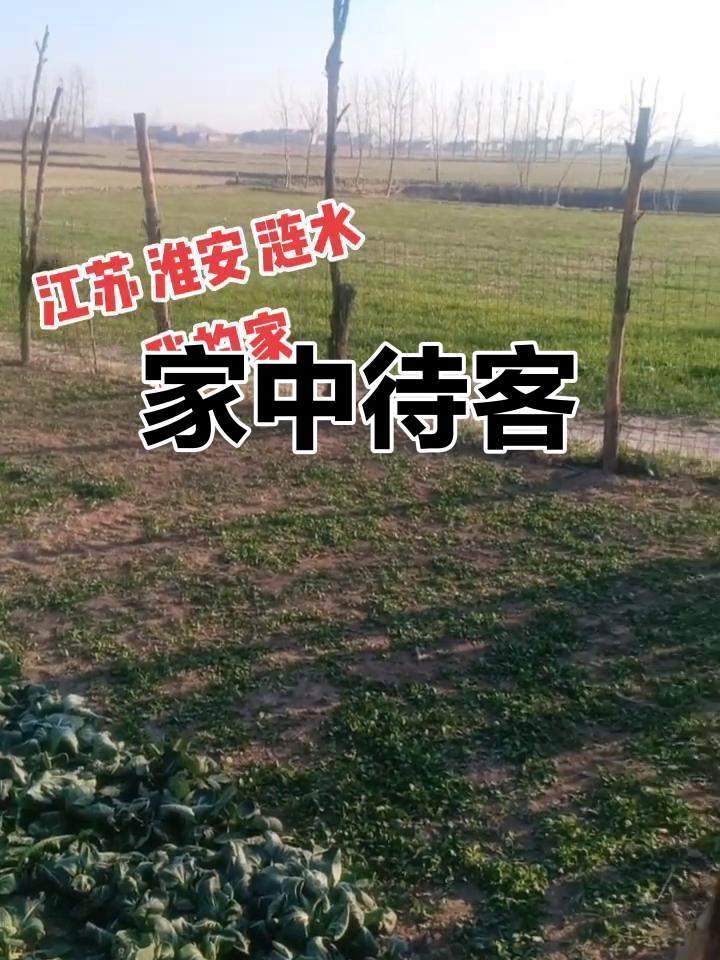 欢迎来我家,新鲜蔬菜随便吃!