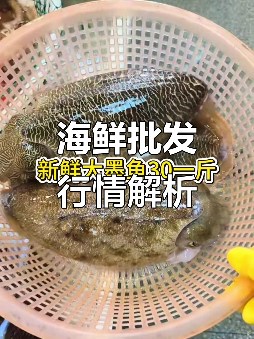 广东最大海鲜批发市场价格揭秘,九零后渔民带你了解行情