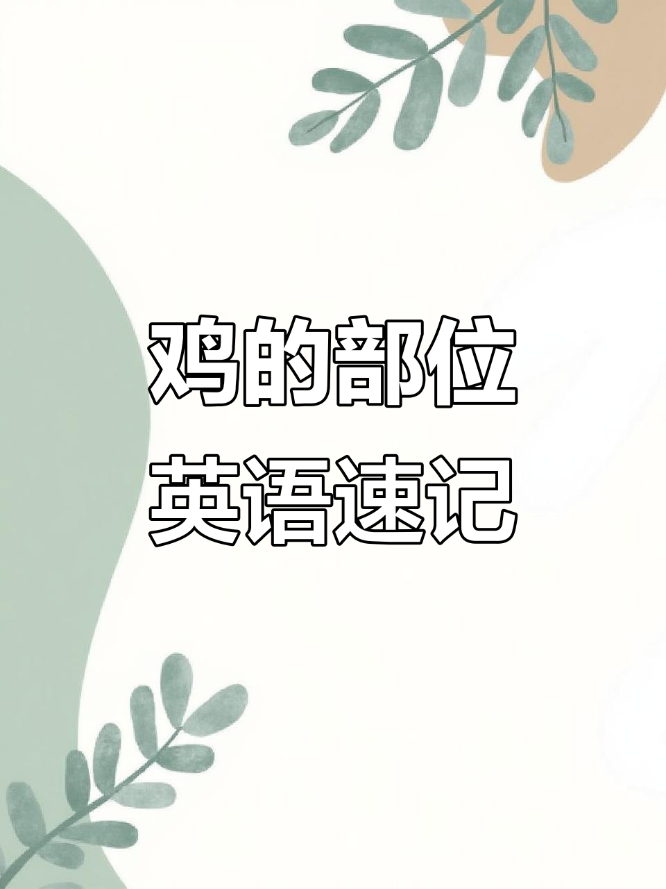 鸡的每个部位英文怎么说？一学就会！