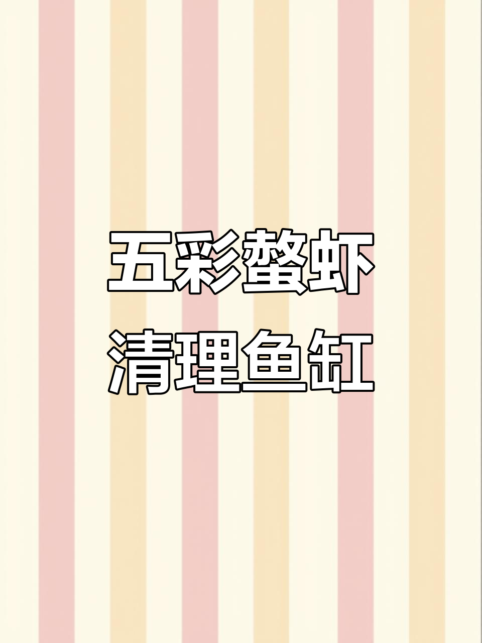 鱼缸清洁小能手，五彩螯虾帮你搞定一切