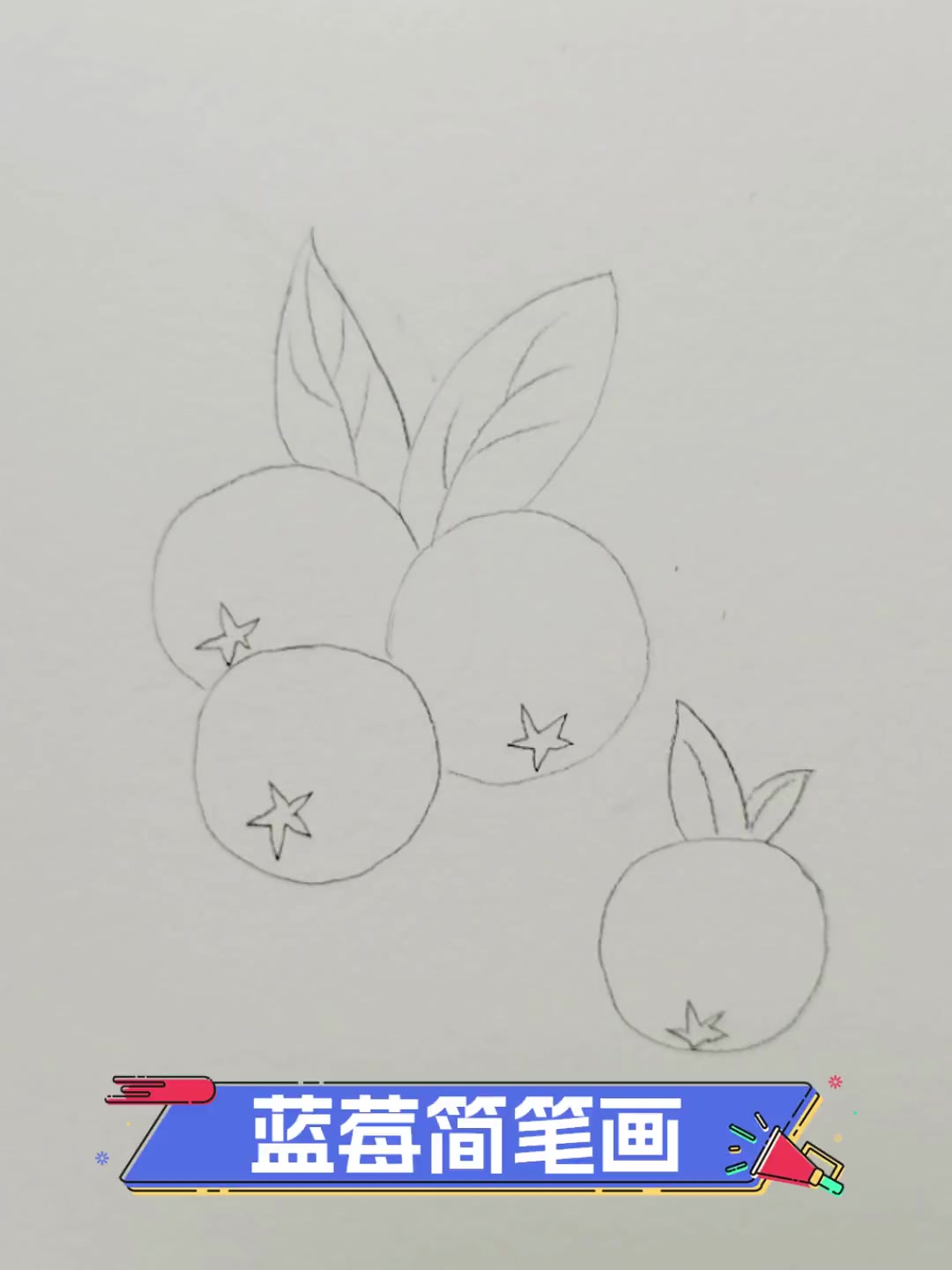 蓝莓简笔画