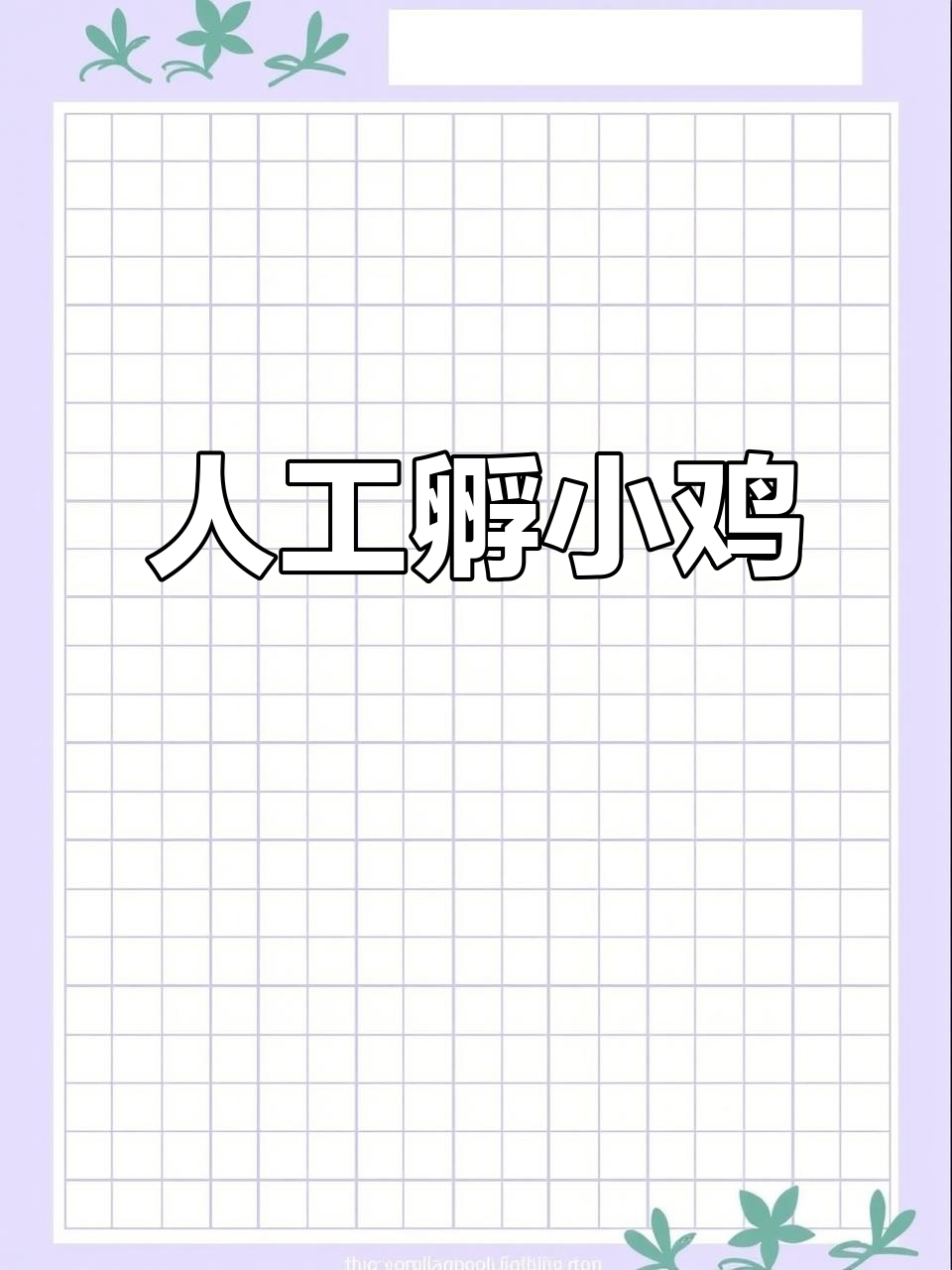 小鸡孵化全过程,人工喂养的灵性时刻