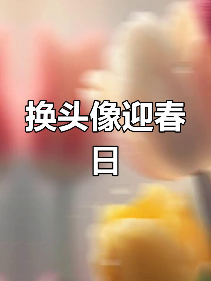 周末换头像,郁金香带来清新气息!