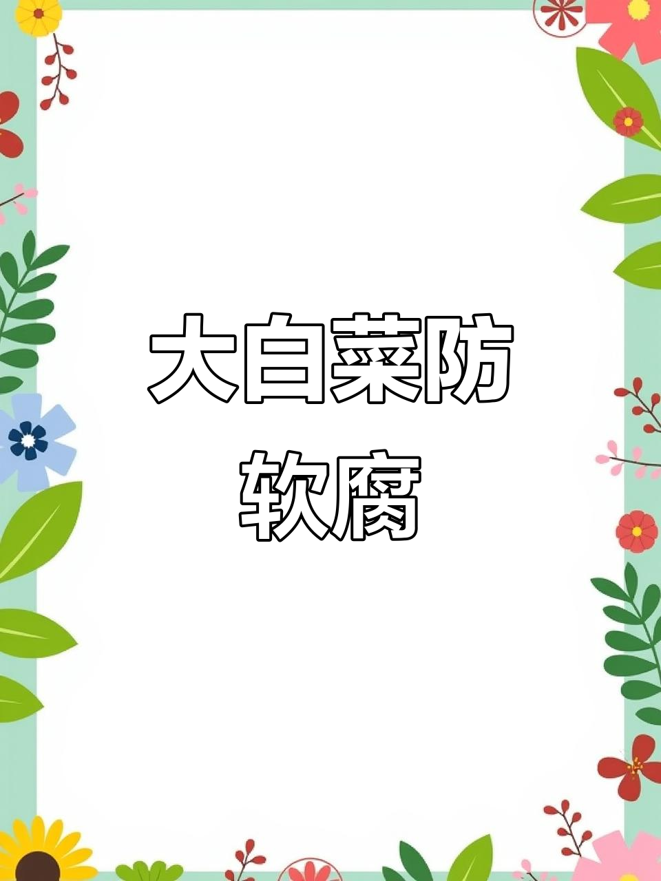 种植大白菜必知技巧,软腐病防治全攻略