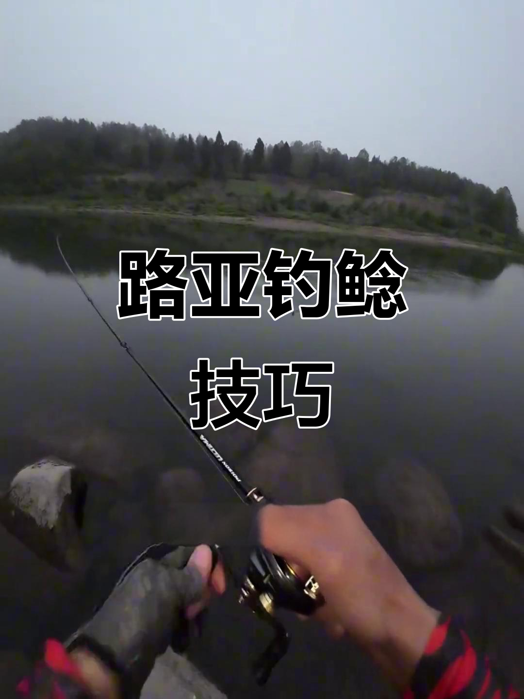 鲶鱼钓法揭秘:如何轻松应对水下强盗