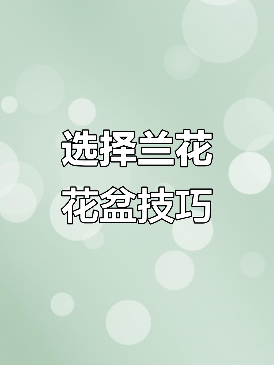 兰花盆栽选择指南:紫砂盆最适合,透气又美观