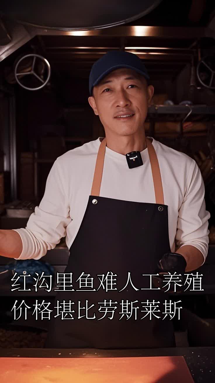 红沟里鱼难人工养殖价格堪比劳斯莱斯
