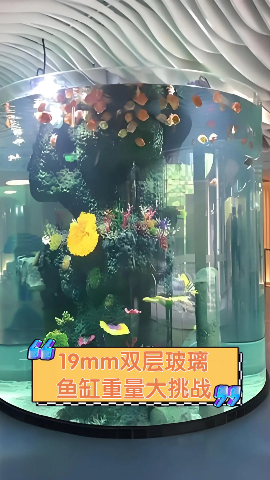 19mm双层玻璃鱼缸重量大挑战