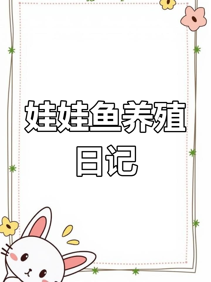 娃娃鱼养殖的日常记录,观察它们的成长变化