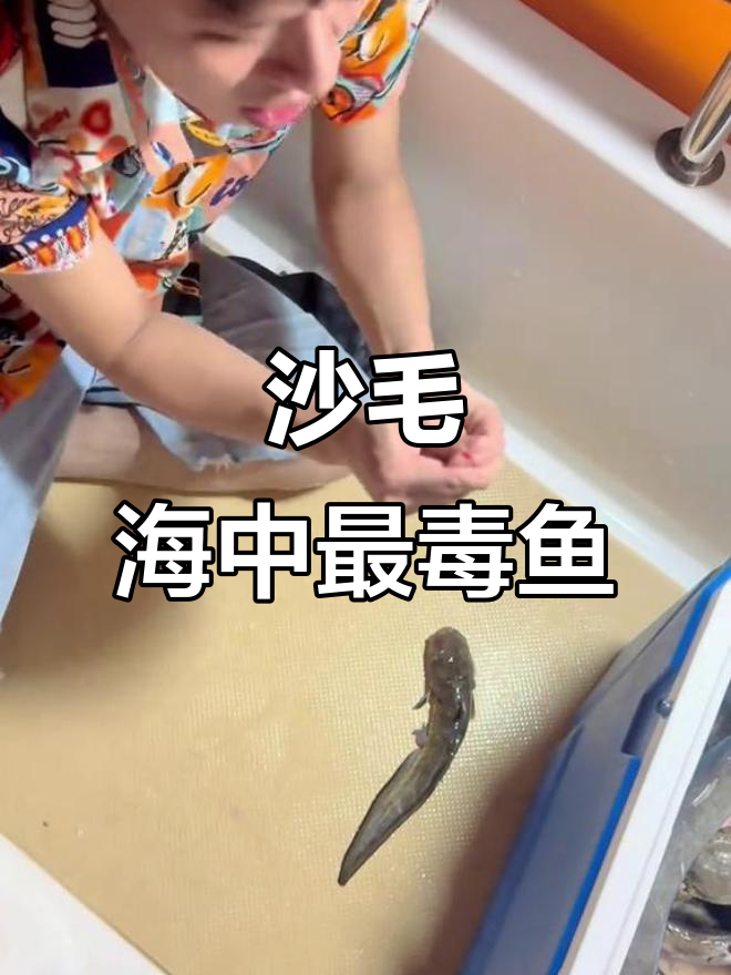 海里最毒的鱼，沙毛刺伤水手！