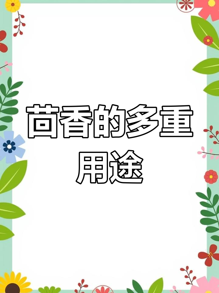茴香的双重功效:甜与苦,皆为人生滋味