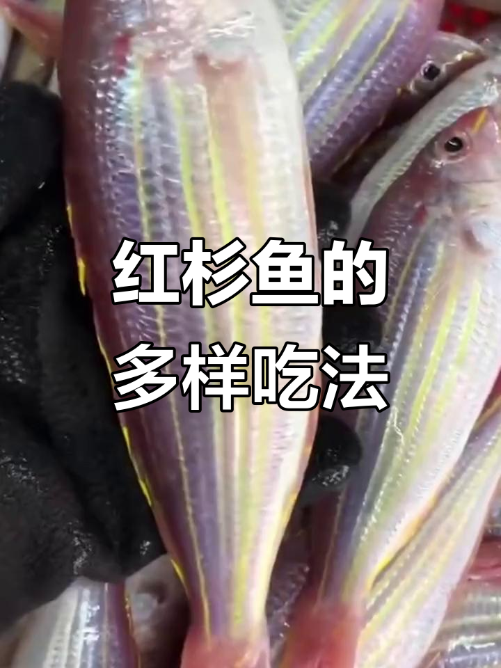 红杉鱼富含营养,多种做法皆美味