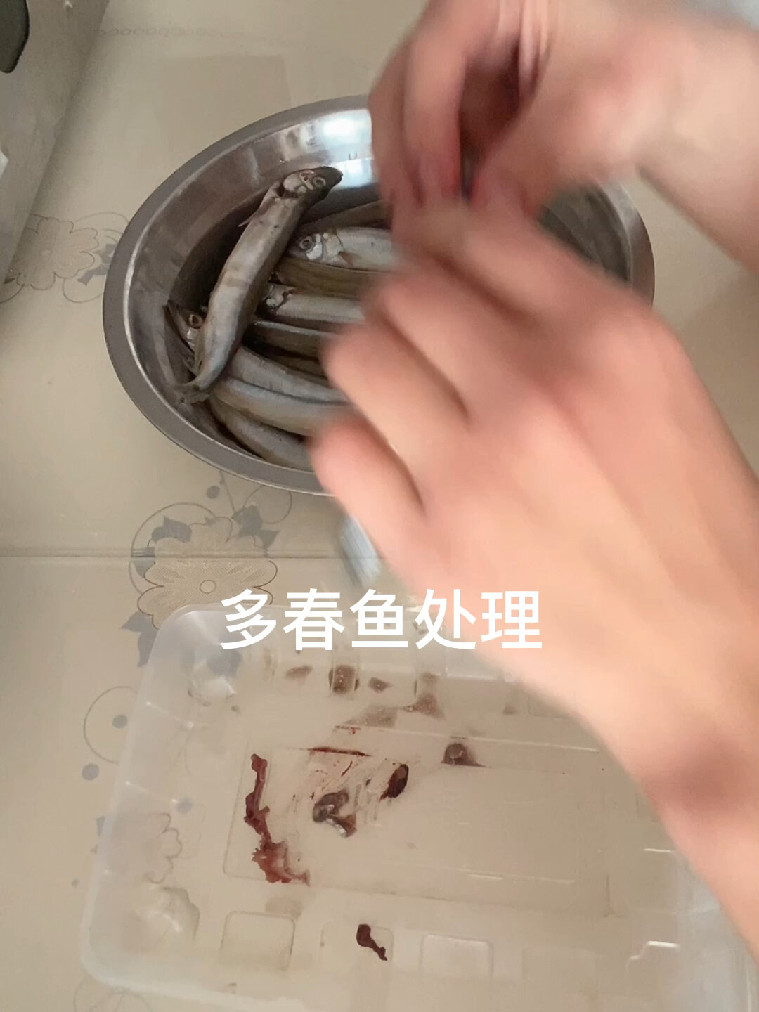 多春鱼预处理